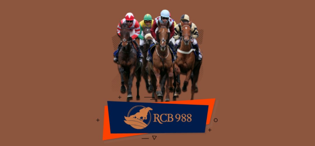 RCB988, ông trùm đua ngựa